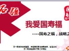 国寿福战略价值概率成功8D而起59页.ppt