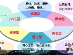 综合保障方案设计的重要性国寿版含备注34页.ppt