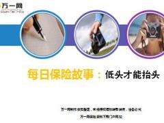 每日保险故事低头才能抬头8页.ppt