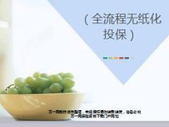 国寿全流程无纸化投保职场宣导版29页.ppt