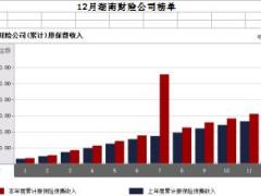 湖南省2017年前12月财险公司总保费排行榜.xls