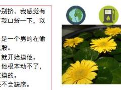 每日快乐早会18年5月14日使用12页.ppt