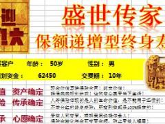 中国人寿盛世传家自动计划书2页.xls