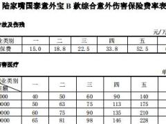 陆家嘴国泰意外宝B款综合意外伤害保险条款费率表.rar