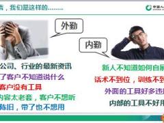 中国人寿金典自展销售支持工具特点推广训练22页.ppt