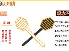 国寿福市场销售方案分享30页.ppt