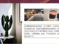 川航飞机挡风玻璃突然破碎副驾驶身体飞出去一半17页.ppt