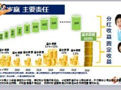 中国人寿岁岁盈安心保开发背景产品责任案例演示11页.ppt