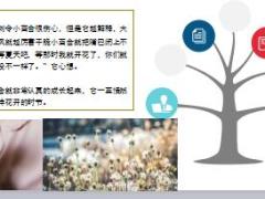每日保险故事山谷里的百合花10页.ppt