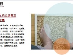 每日健康每天踩一踩它55岁看起来像35岁14页.ppt