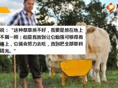 每日正能量养牛之道7页.ppt