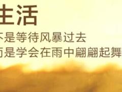 2018年增员招聘职场布置15海报8页.rar