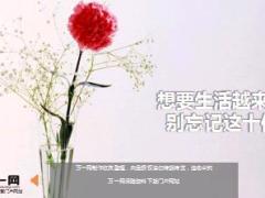 每日鸡汤想要生活越来越好别忘记这十件事.rar