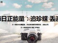 每日正能量追珍蝶丢澳洲10页.ppt