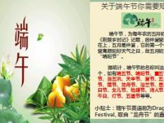 端午节业务方案宣导片20页.ppt