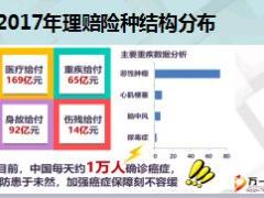 中国人寿大病理赔报表分析及带来启示30页.ppt