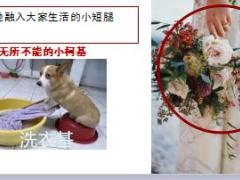 每日快乐早会18年5月24日使用12页.ppt