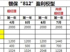 银保812月薪万元创业计划盈利模型测算国寿版17页.xls