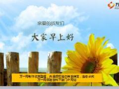夏日清新早会流程10页.ppt
