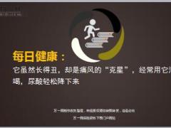 每日健康尿酸痛风的克星10页.ppt