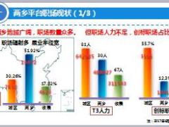 两乡职场分级分类管理办法介绍管理标准35页.ppt