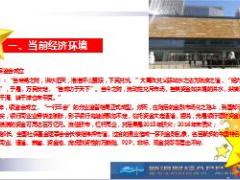 2018上半年经济形势及保险行业形势13页.ppt