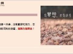 每日鸡汤去努力了你才有可能看到希望的光芒.rar