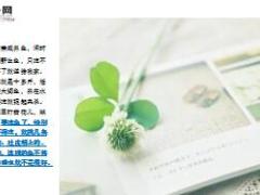 每日保险故事先吃哪条鱼8页.ppt