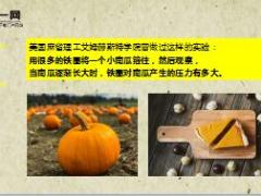 每日正能量生命的抗力11页.ppt