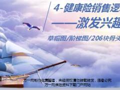 健康险销售逻辑培训4激发需求之草帽图加保险阶梯图加206块骨头加治疗方式29页.ppt