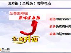 健康险销售逻辑培训6解决方案之二饼图讲解国寿福28页.ppt