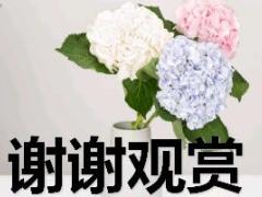 每日正能量要钓鱼先放线9页.ppt