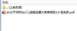 太平洋附加少儿超能宝重大疾病保险3.0版条款.rar