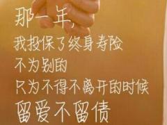 2018年增员招聘职场布置34海报8页.rar