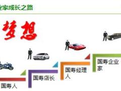 主管培训组经理养成12国寿平台助发展31页.ppt