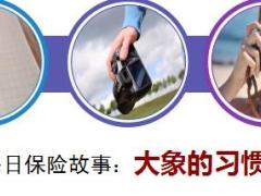 每日保险故事大象的习惯6页.ppt