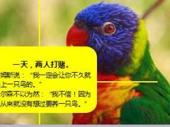 每日正能量鸟笼效应11页.ppt