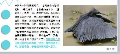 每日保险故事黑鹭捕鱼5页.ppt