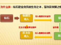 优秀主管分享团队钻石文化推动技能提升活动量管理经验技巧18页.ppt