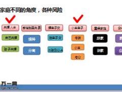 六类家庭角色风险控制与大额保单之未婚子女非婚生子.rar
