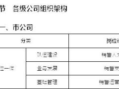 个险渠道岗位三位一体执行手册98页.doc