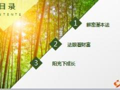 阳光银保基本法解密8亮点36页.ppt