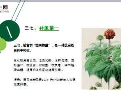 每日健康三七的黄金搭档终于出现了功效翻十倍22页.ppt