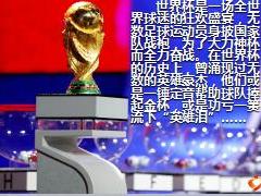 泰康健康尊享B六月停售宣导世界杯版29页.ppt