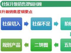 转正培训4之社保升级逻辑之二饼图规划产品及训练国寿福版22页.ppt