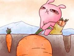 2018年增员招聘职场布置58海报8页.rar