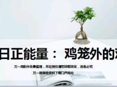 每日正能量鸡笼外的鸡8页.ppt