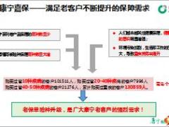 国寿康宁嘉保疾病保险基本责任形态18页.ppt