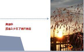 每日鸡汤心若放晴何惧风雨.rar