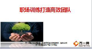 优秀主管分享职场训练打造高效团队37页.ppt